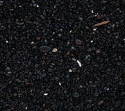 Black Gram (Urad Dal) – whole, split & washed