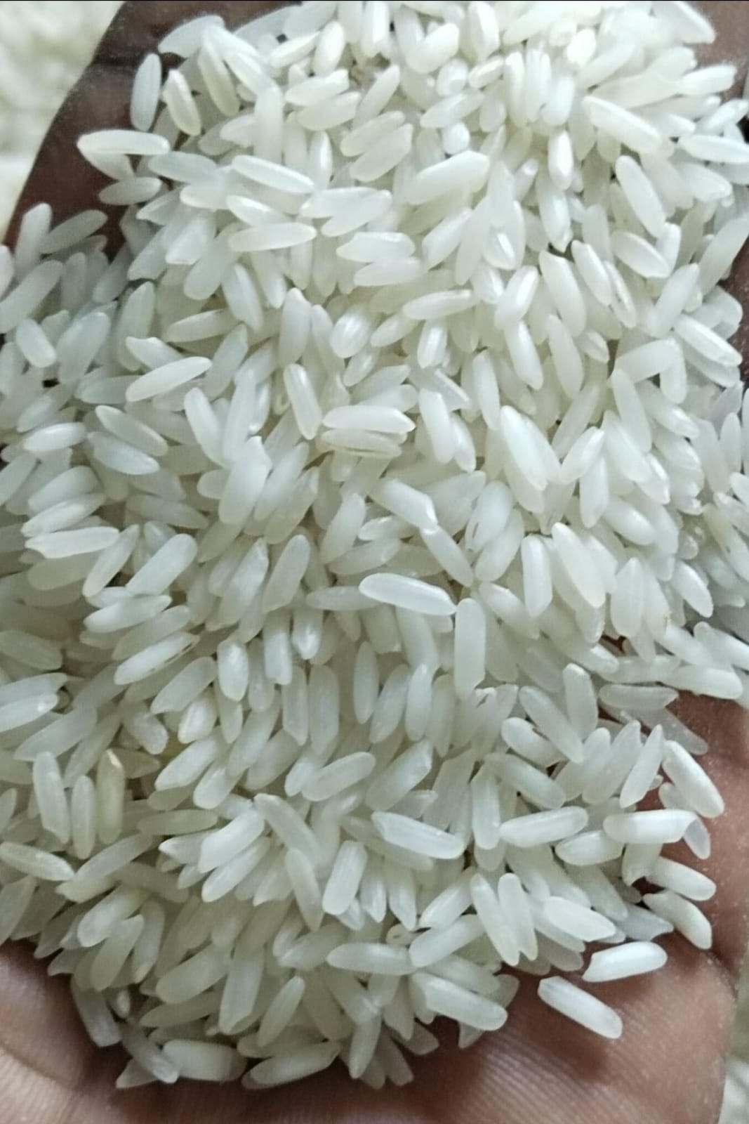 IR-64 Raw Rice