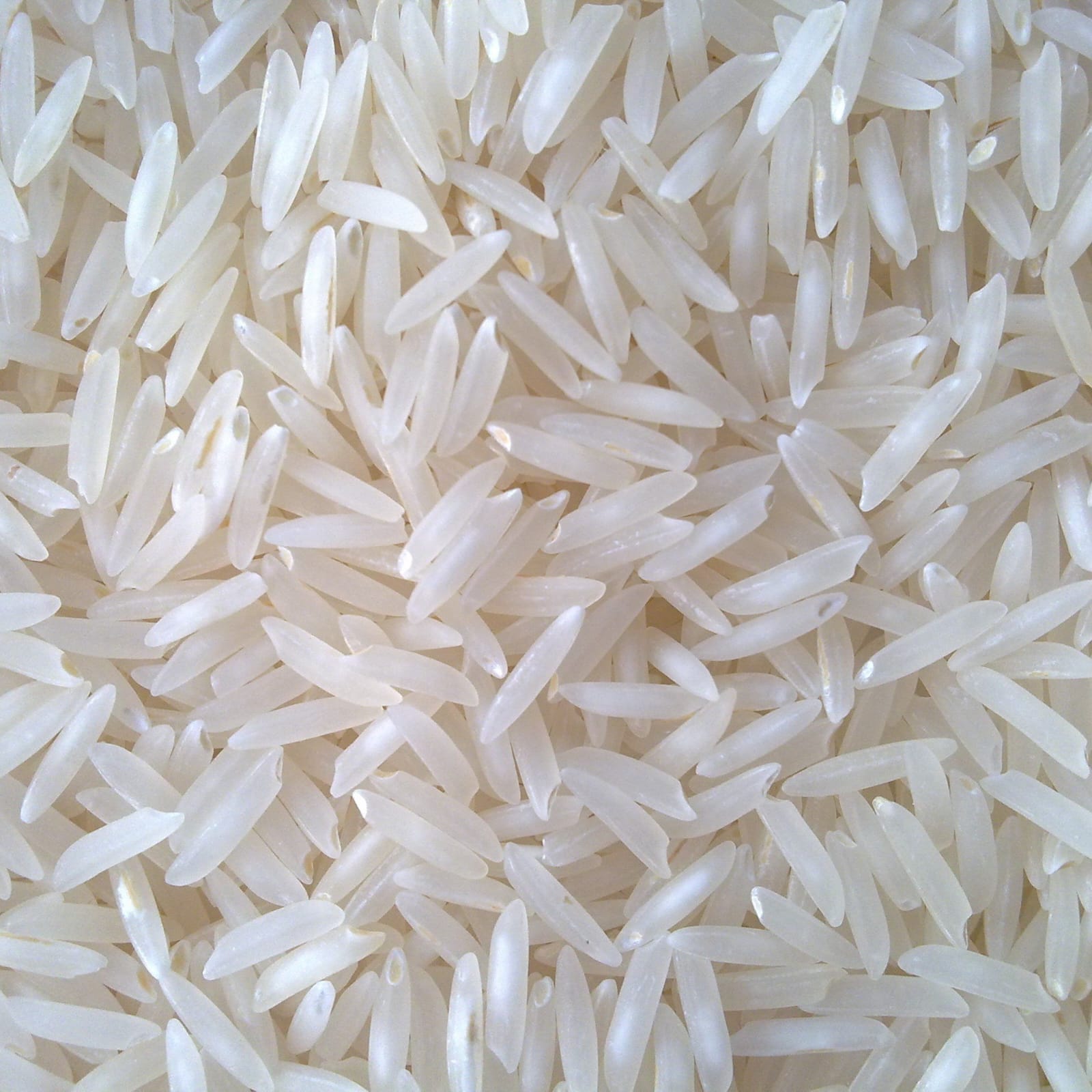 Rice 3