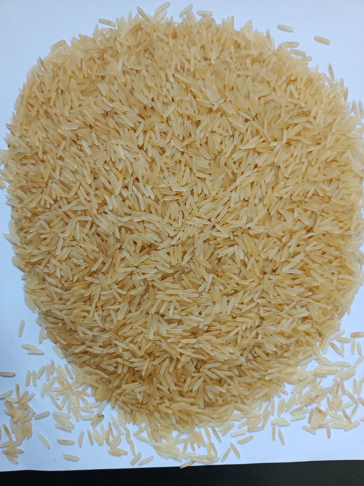 Rice 4