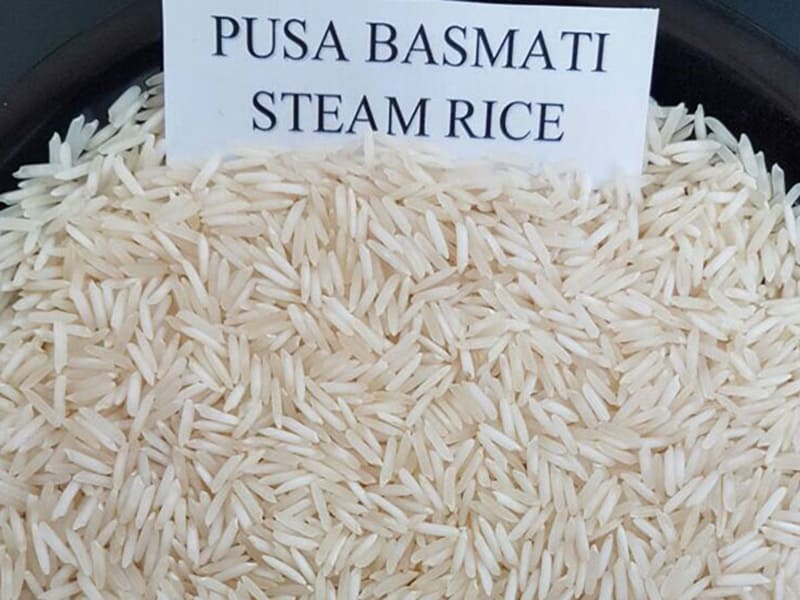 Rice 11