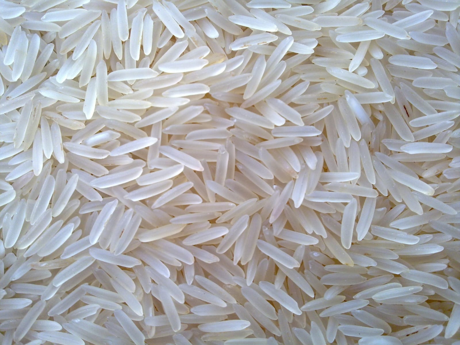 Rice 12