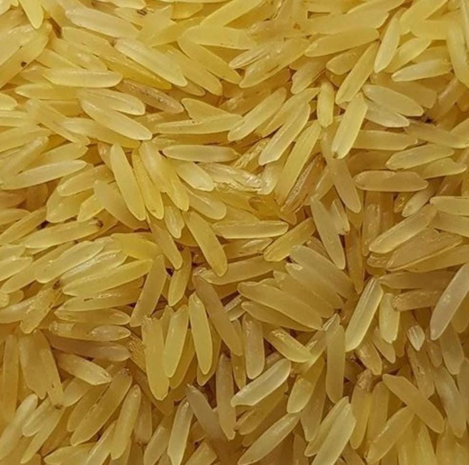 Rice 13