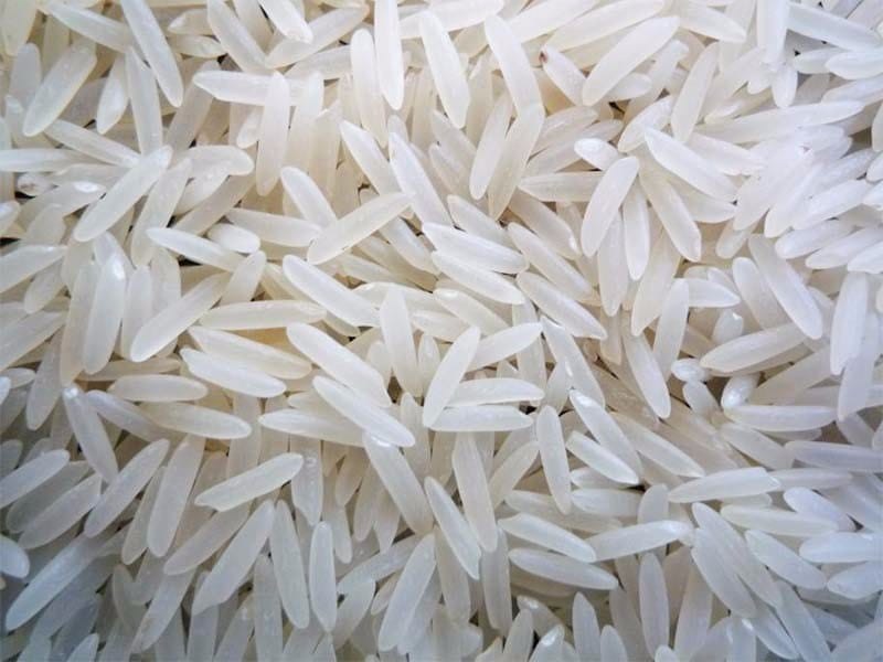 Rice 24