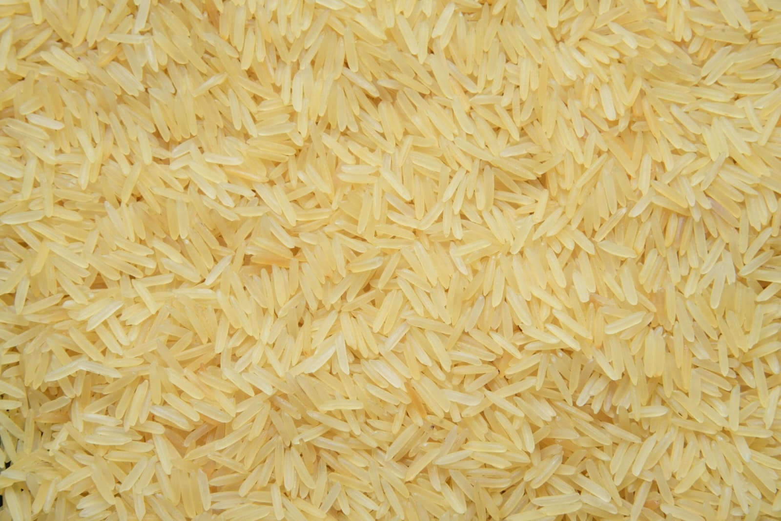 Rice 32