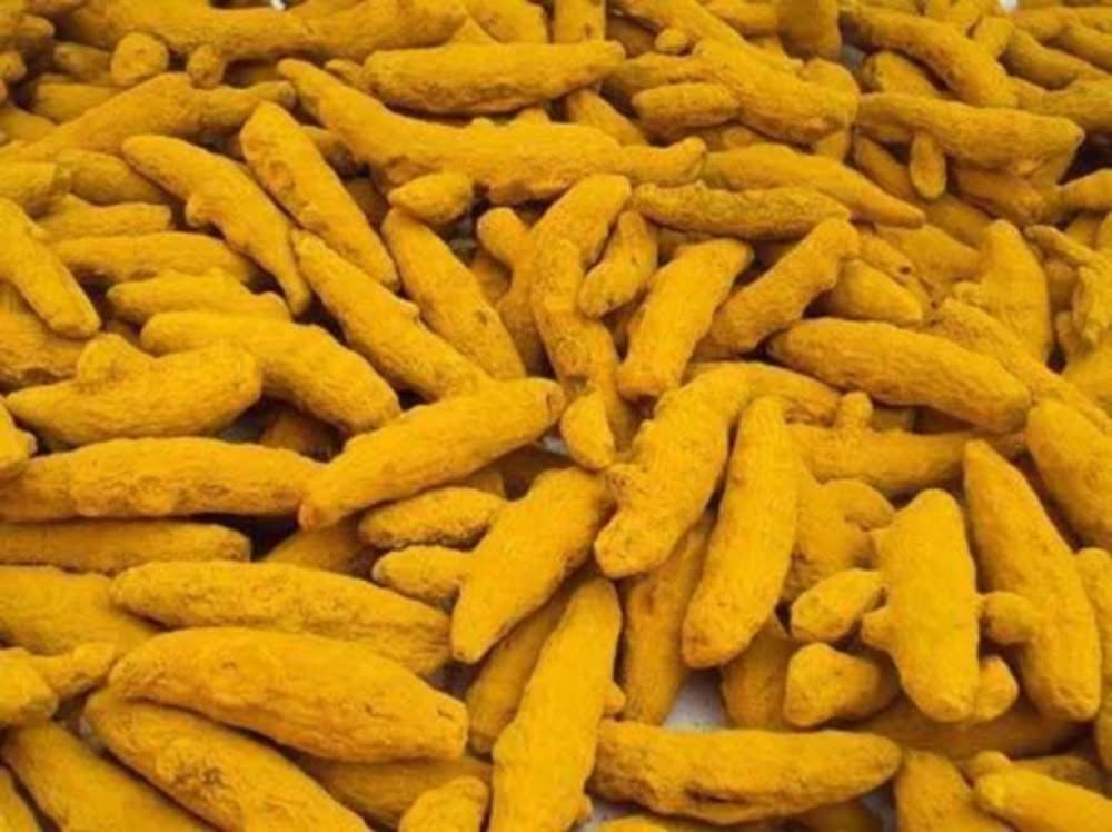 Turmeric 2