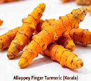 Alleppey Finger Turmeric (Kerala)