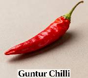 Guntur Chilli