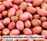 Java Peanuts (Red Skin / Round Java)