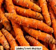 Lakadong Turmeric (Meghalaya)